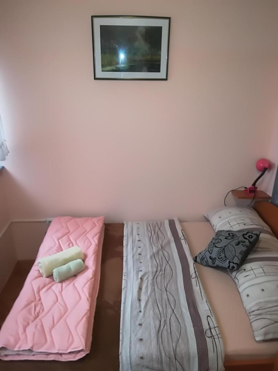 Guesthouse Sava Slavonski Brod Exterior foto